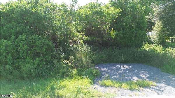 1 Acre of Residential Land for Auction in Clewiston, Florida