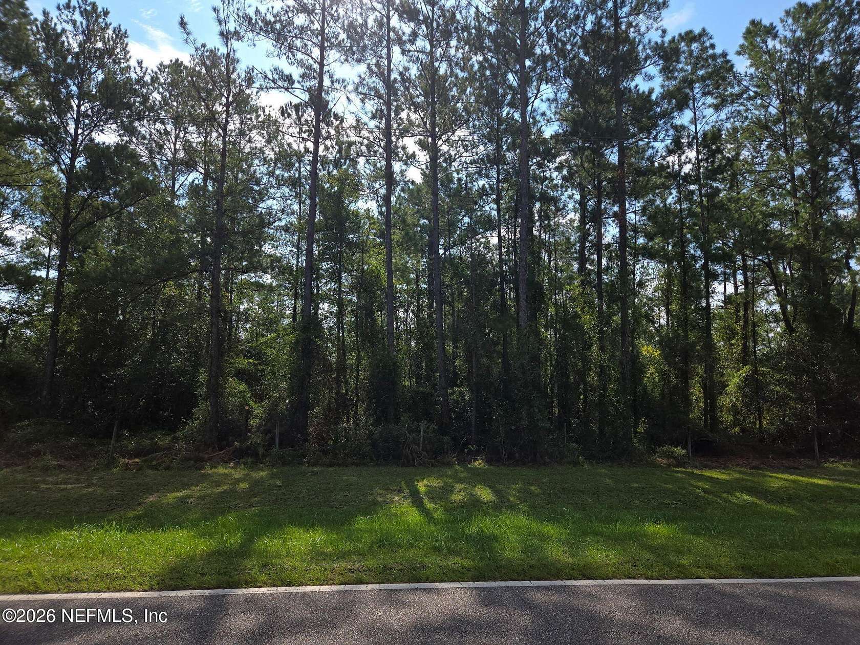 4.63 Acres of Residential Land for Sale in Hilliard, Florida