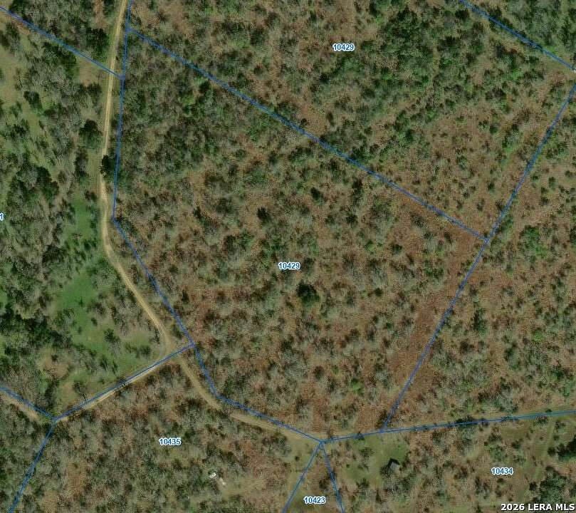 22.2 Acres of Land for Sale in Nixon, Texas