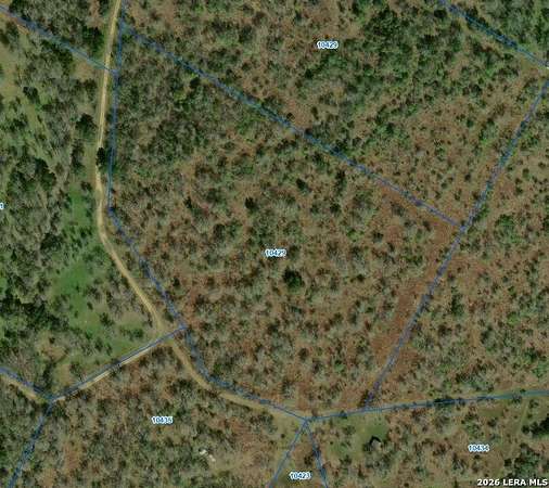 22.2 Acres of Land for Sale in Nixon, Texas