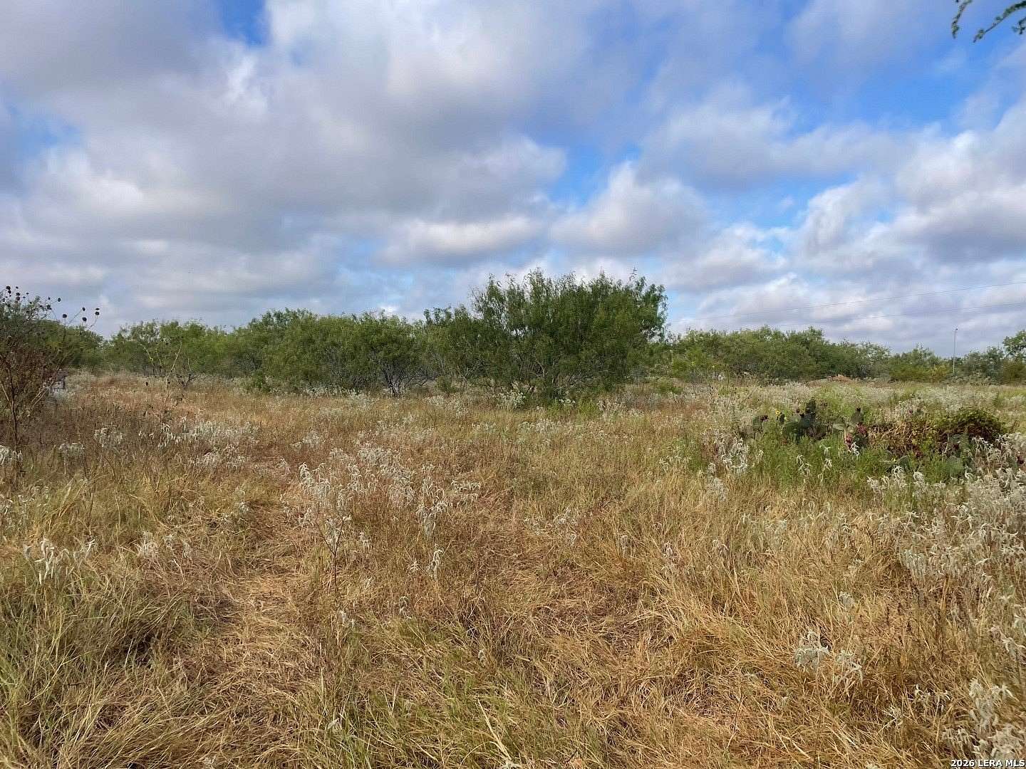 3 Acres of Land for Sale in Floresville, Texas