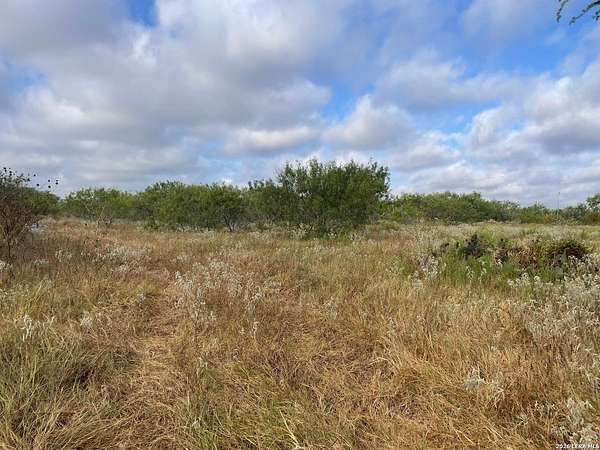 3 Acres of Land for Sale in Floresville, Texas