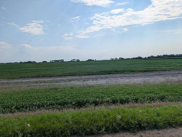 140 Acres of Agricultural Land for Auction in Chokio, Minnesota
