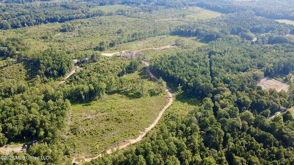 31.7 Acres of Recreational & Residential Land for Sale in Kosciusko, Mississippi