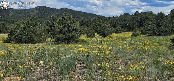 11.1 Acres of Recreational Land for Sale in Cotopaxi, Colorado