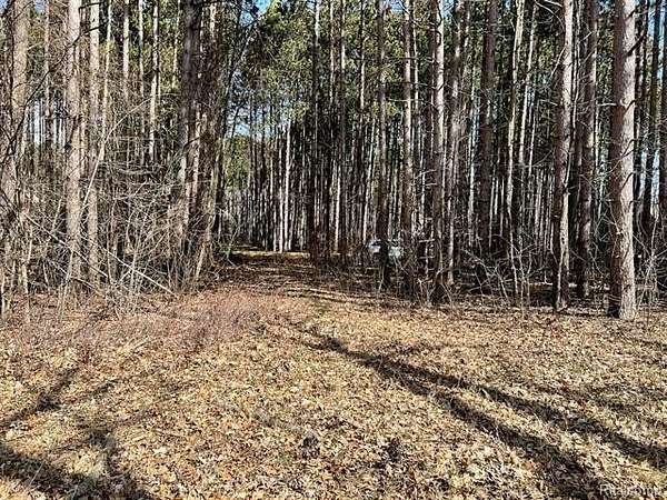 0.57 Acres of Residential Land for Sale in Argentine Township, Michigan