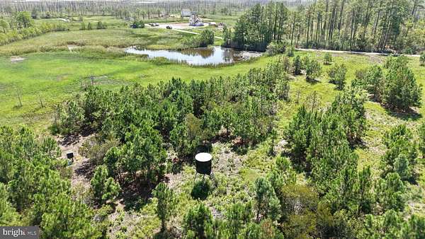 151 Acres of Recreational Land for Sale in Crapo, Maryland