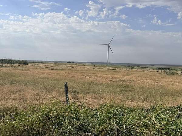115 Acres of Agricultural Land for Sale in Loraine, Texas