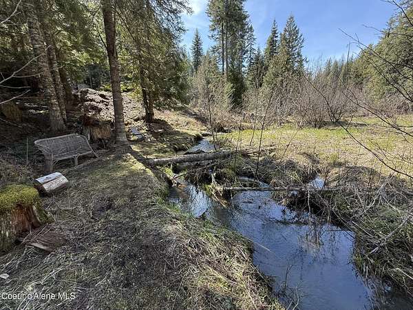 20 Acres of Recreational Land for Sale in St. Maries, Idaho