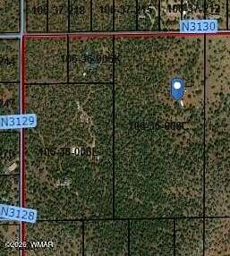 20 Acres of Land for Sale in Vernon, Arizona