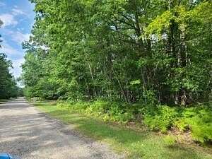 Land for Sale in Gaylord, Michigan
