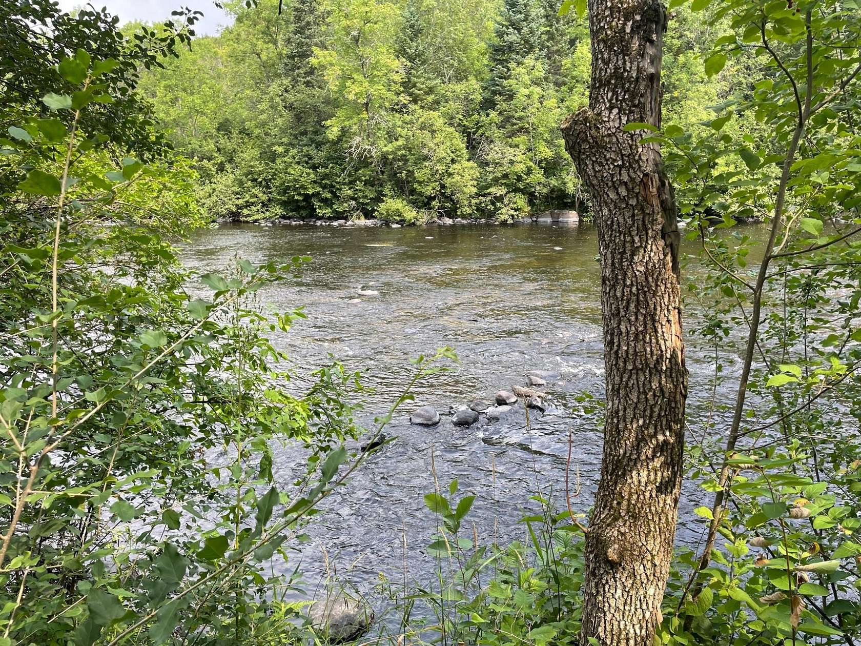2.1 Acres of Land for Sale in Fifield, Wisconsin