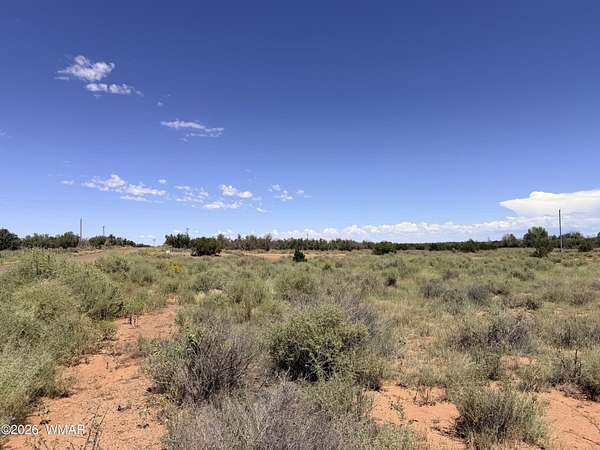 5 Acres of Residential Land for Sale in Snowflake, Arizona