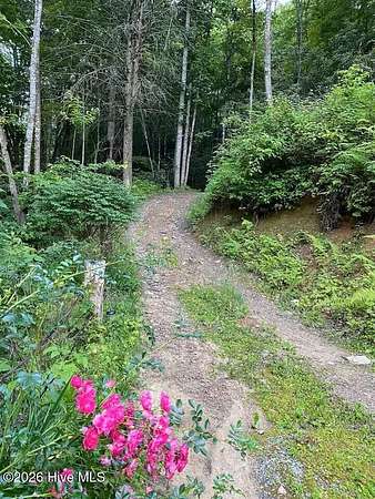 4.55 Acres of Residential Land for Sale in Topton, North Carolina