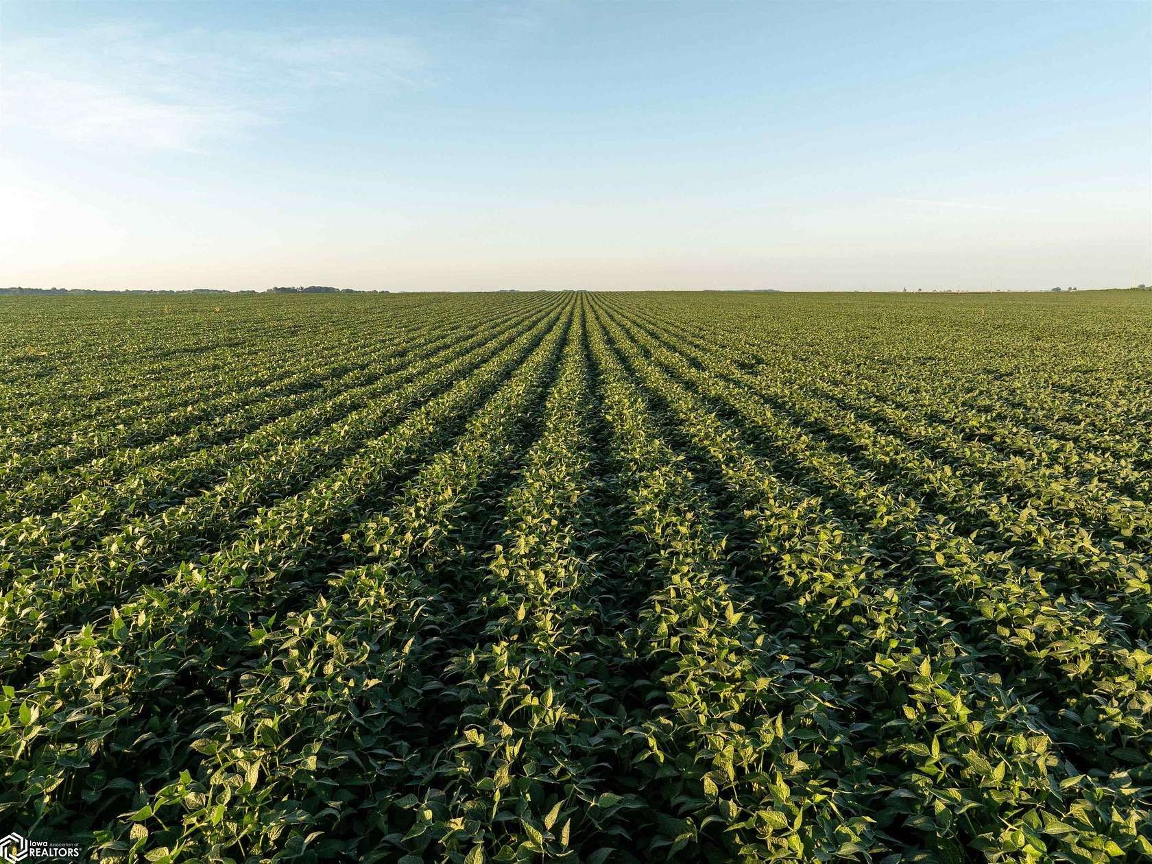 1,249 Acres of Agricultural Land for Auction in Edgerton, Indiana