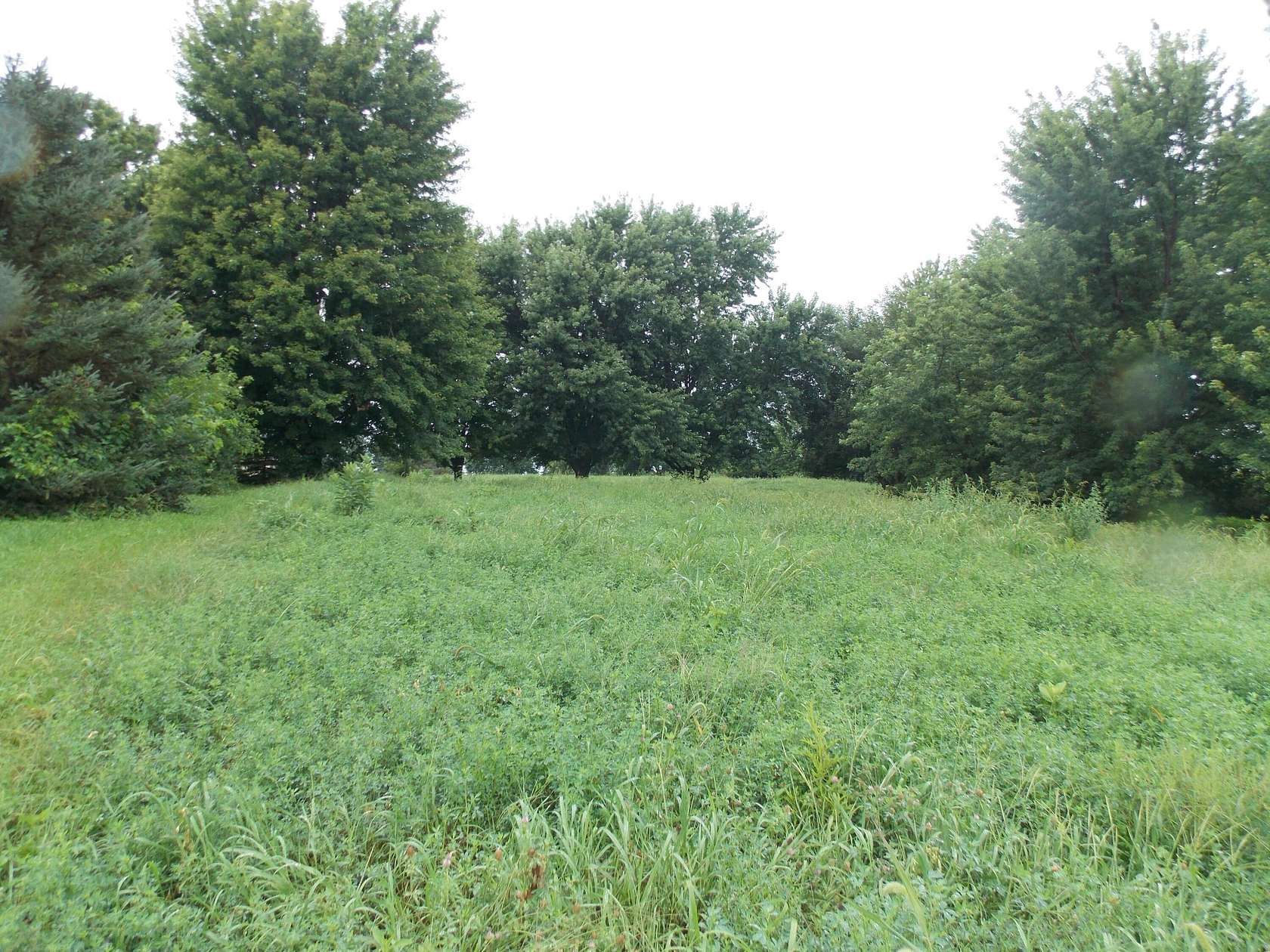 1 Acre of Residential Land for Sale in Ogden, Iowa