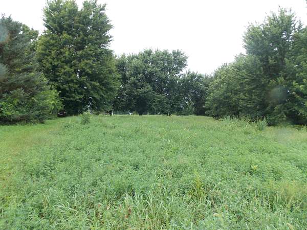 1 Acre of Residential Land for Sale in Ogden, Iowa
