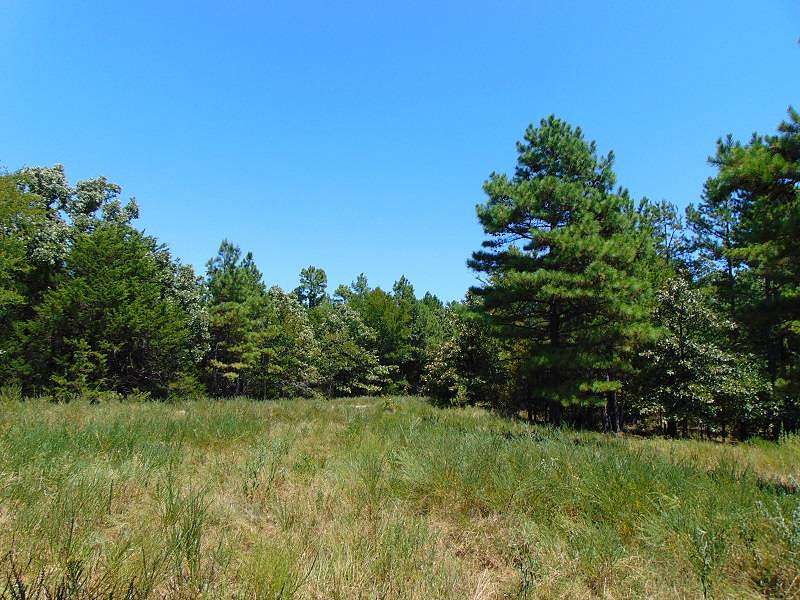 49.8 Acres of Recreational Land for Sale in Red Oak, Oklahoma