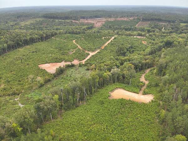 96 Acres of Land for Sale in Gilbertown, Alabama