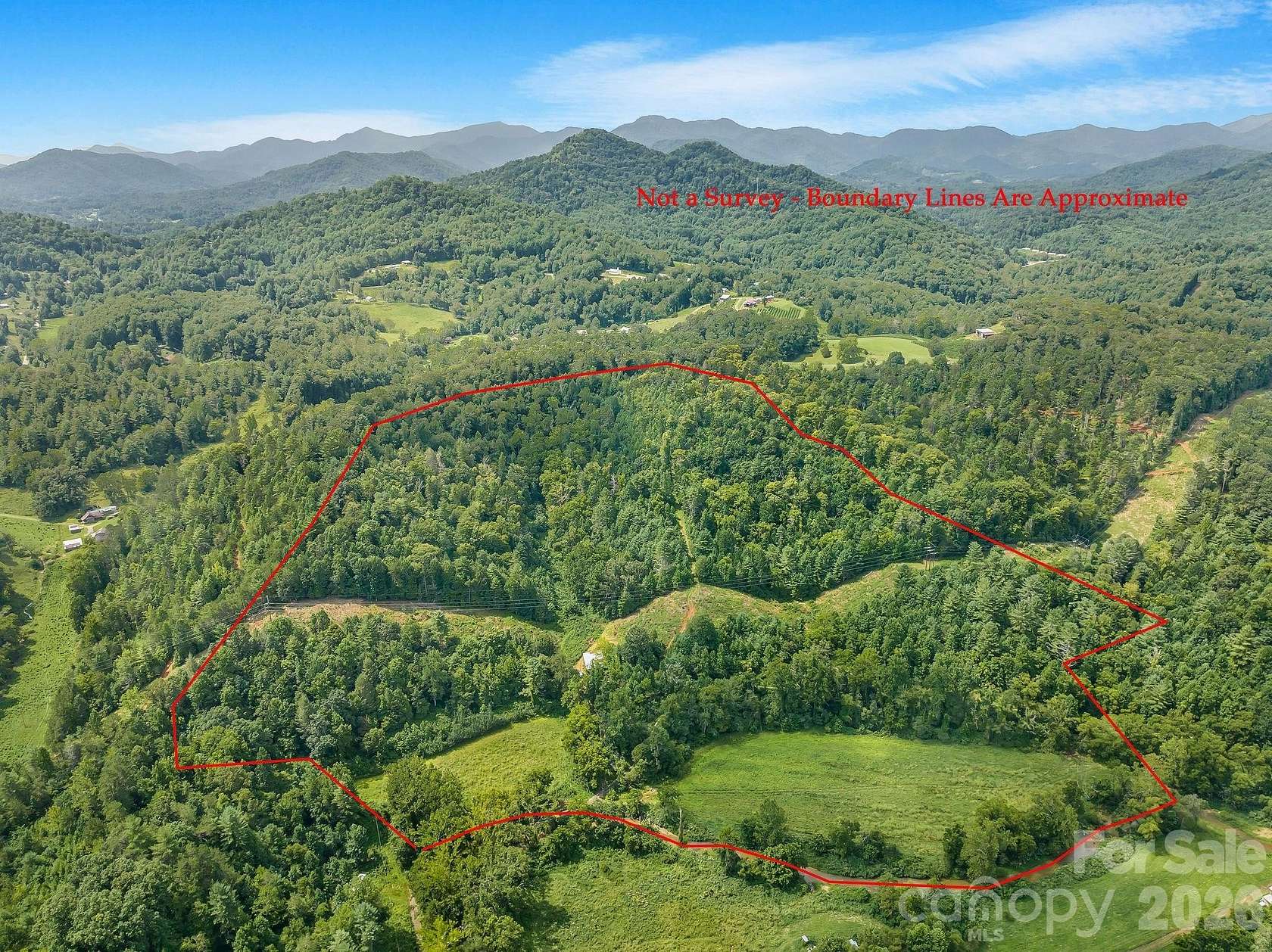 42.2 Acres of Land for Sale in Leicester, North Carolina