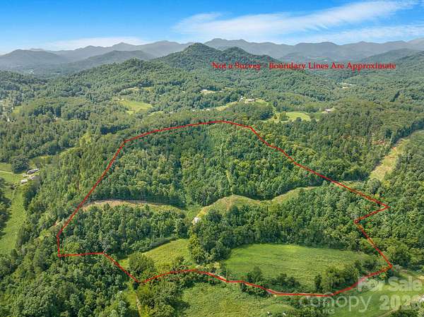 42.2 Acres of Land for Sale in Leicester, North Carolina