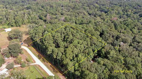 2 Acres of Residential Land for Sale in Coldspring, Texas