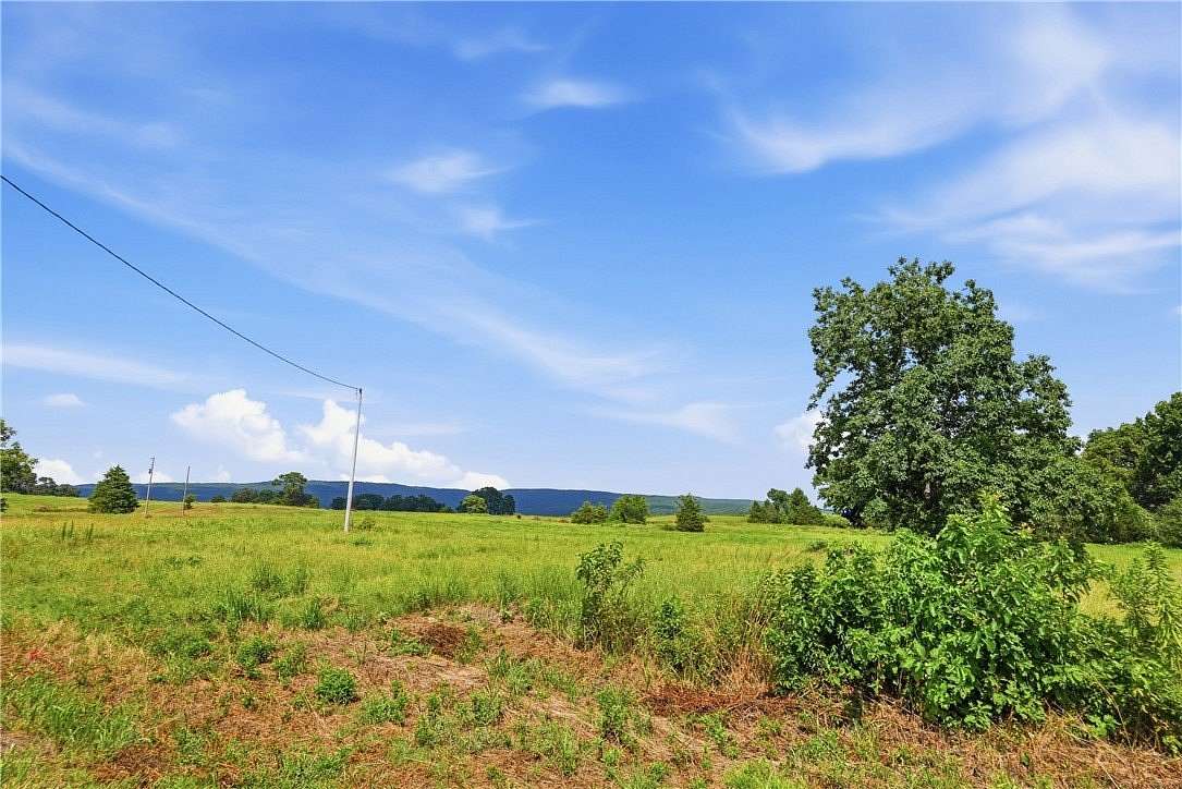 19.7 Acres of Recreational & Residential Land for Sale in Hector, Arkansas