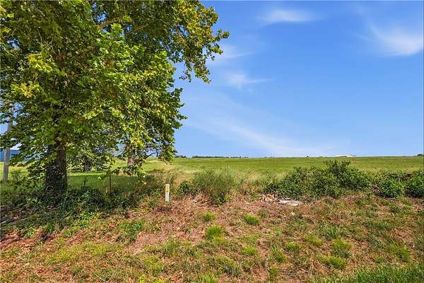 19.7 Acres of Land for Sale in Hector, Arkansas