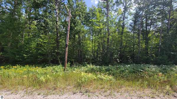 1.85 Acres of Residential Land for Sale in Wolverine, Michigan