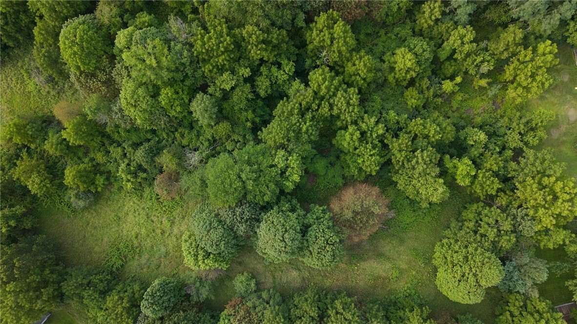 2 Acres of Residential Land for Sale in Ionia, New York