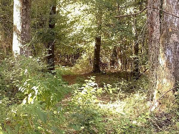 28.6 Acres of Recreational Land for Sale in Jasper, Texas