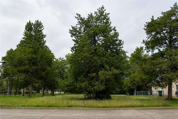 0.19 Acres of Residential Land for Sale in New Ulm, Texas