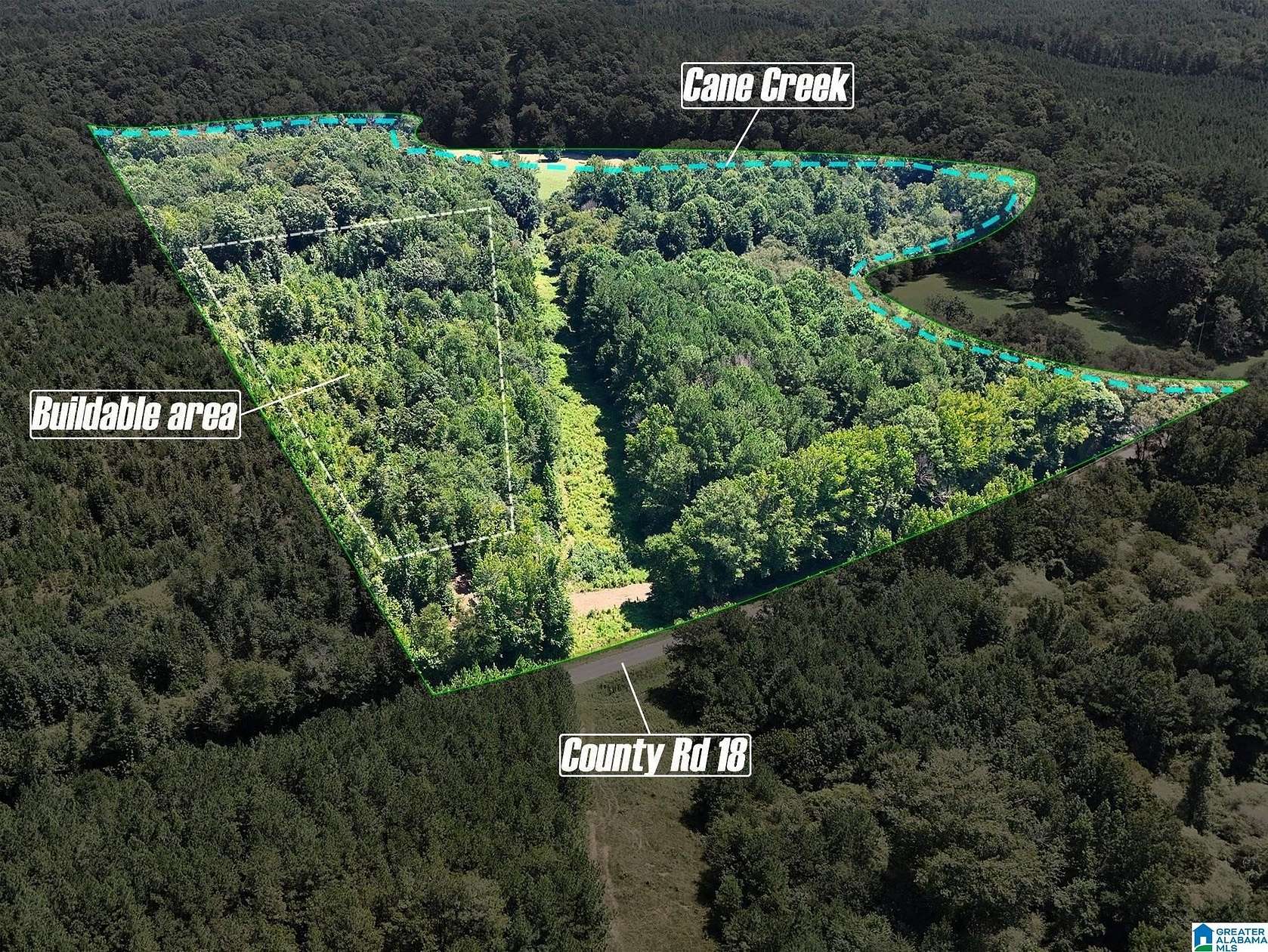 21.7 Acres of Land for Sale in Heflin, Alabama