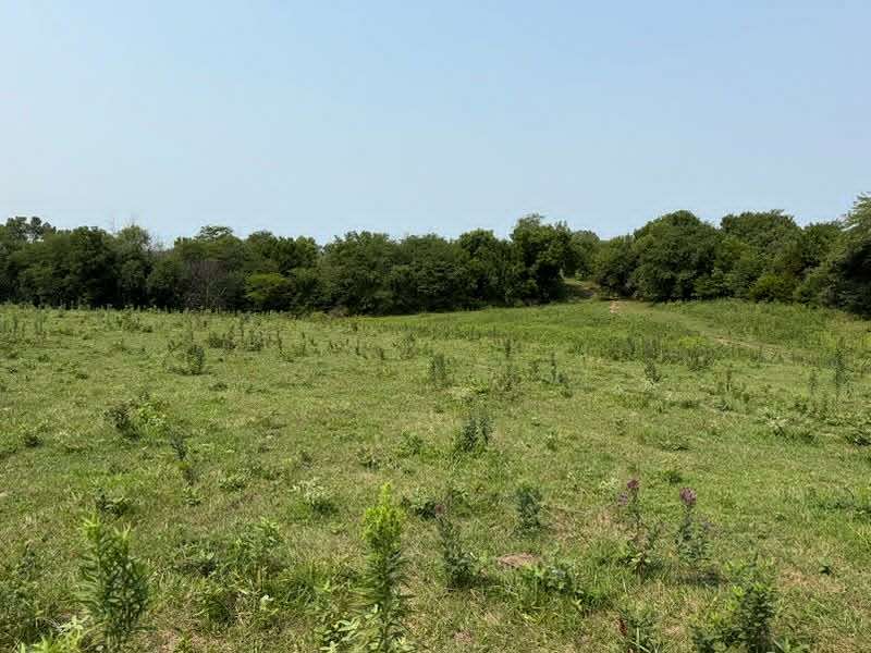 80 Acres of Land for Sale in Lancaster, Missouri