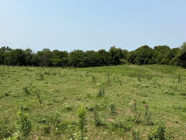 80 Acres of Land for Sale in Lancaster, Missouri