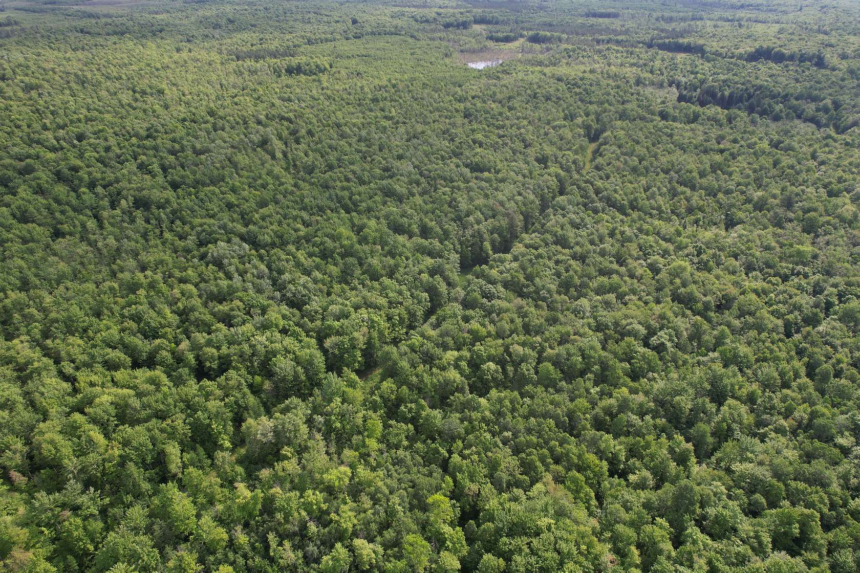 120 Acres of Land for Sale in Ogema, Wisconsin