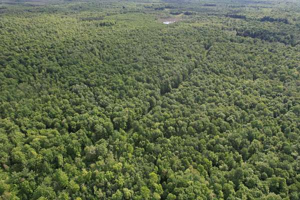 120 Acres of Land for Sale in Ogema, Wisconsin