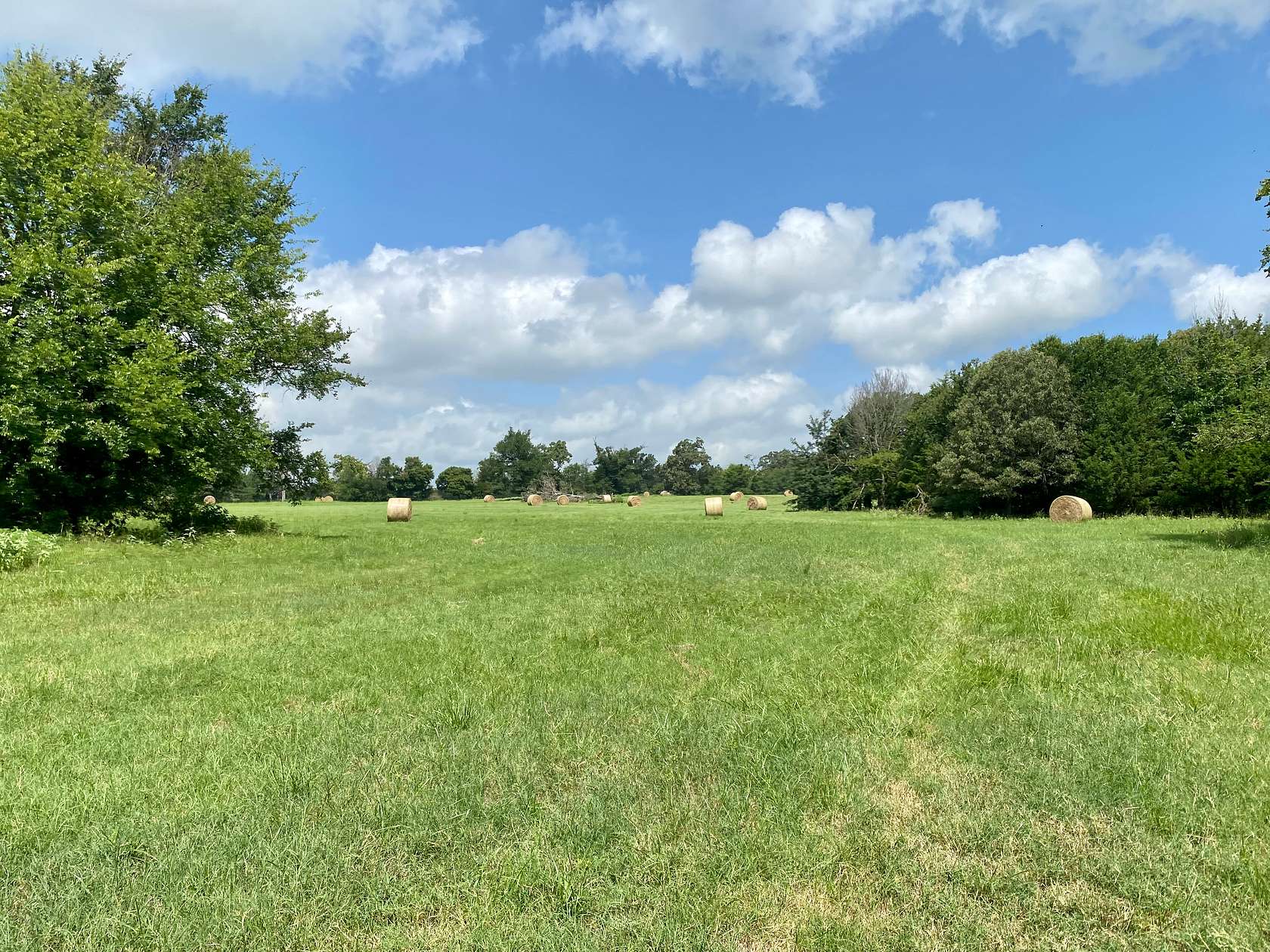 53 Acres of Land for Sale in Winnsboro, Texas