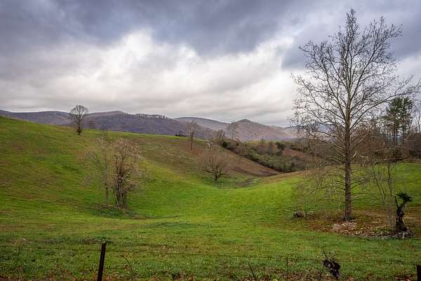60.3 Acres of Land for Sale in Pearisburg, Virginia