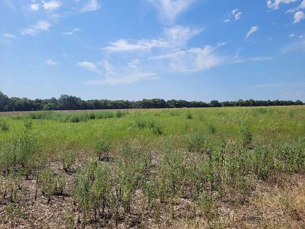 10 Acres of Land for Sale in Clarksville, Texas