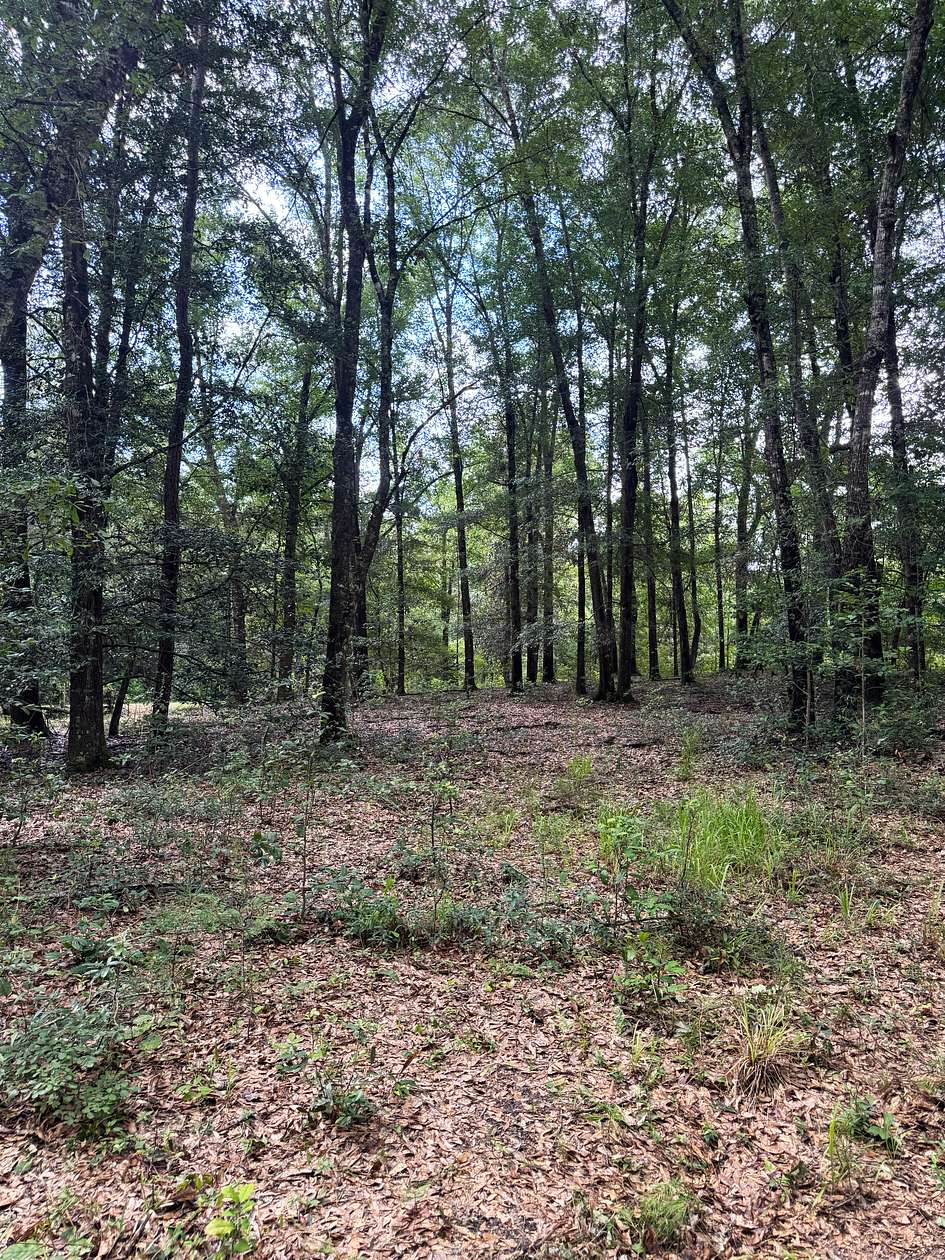 124 Acres of Land for Sale in Cuthbert, Georgia