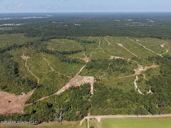 42 Acres of Land for Sale in Bogalusa, Louisiana