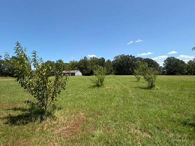 5 Acres of Land for Sale in Mount Pleasant, Texas