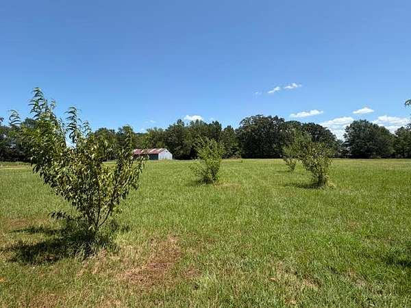 5 Acres of Land for Sale in Mount Pleasant, Texas