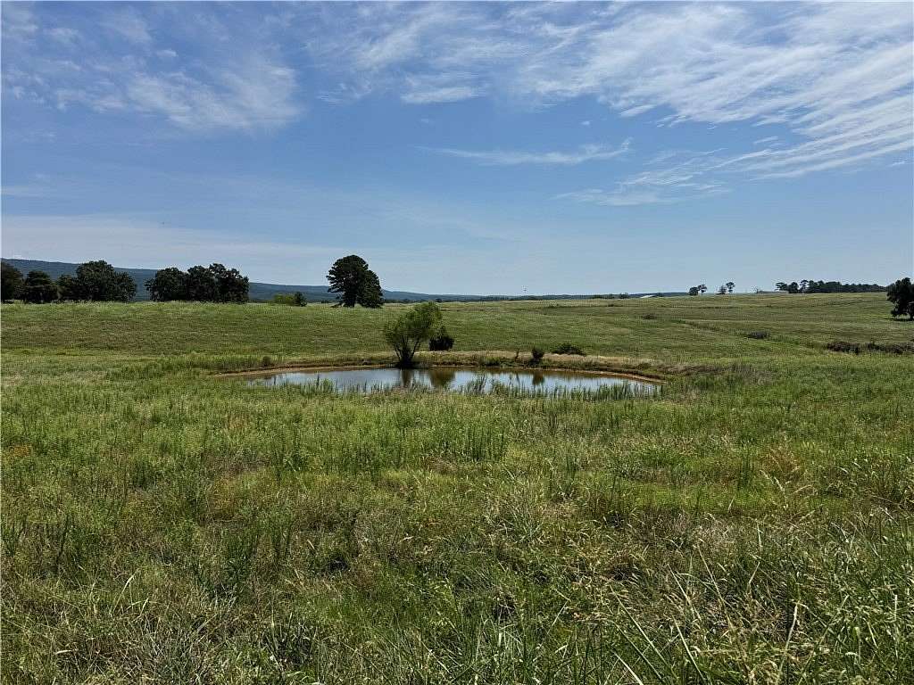 20 Acres of Land for Sale in Hector, Arkansas