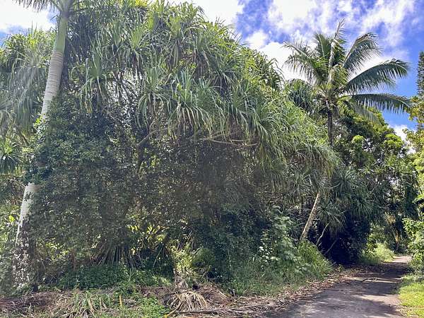 3 Acres of Residential Land for Sale in Pahoa, Hawaii
