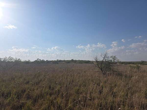 10.6 Acres of Land for Sale in Bishop Hills, Texas