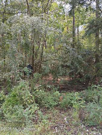 0.39 Acres of Land for Sale in Gulfport, Mississippi