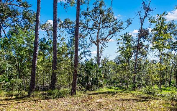 0.72 Acres of Land for Sale in Mayo, Florida