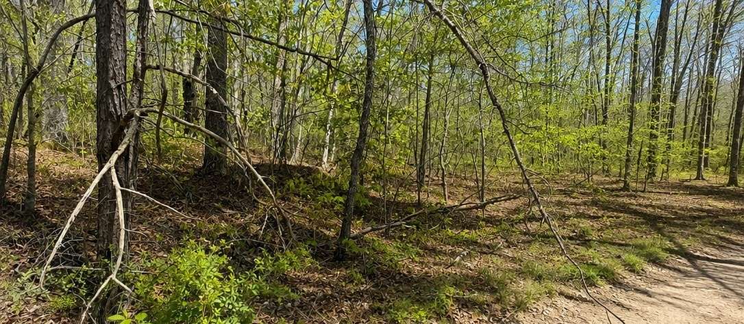 0.06 Acres of Residential Land for Auction in Sparta, Tennessee